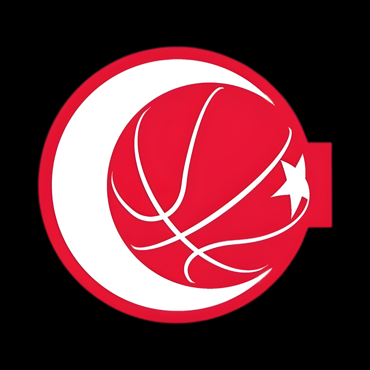 Milli Takım - 12 Dev Adam Milli Takım - 12 Dev Adam