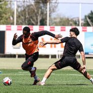 blank