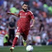 blank