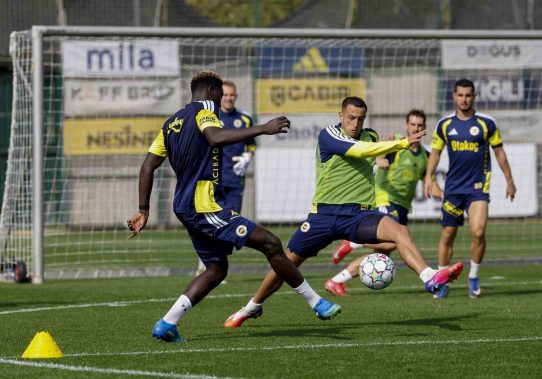 blank
